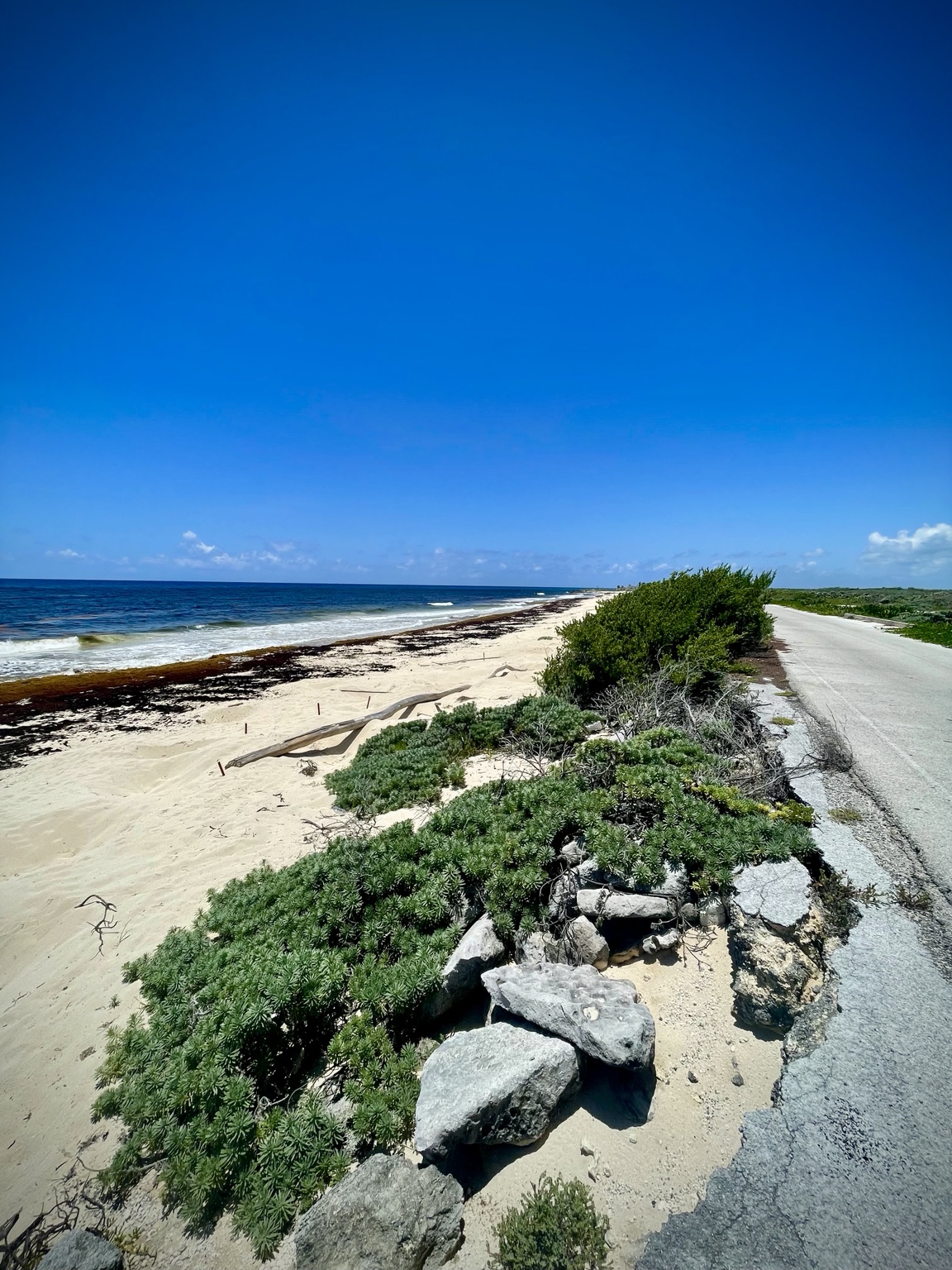 Cozumel’s untouched east coast near Wild Side Camping.