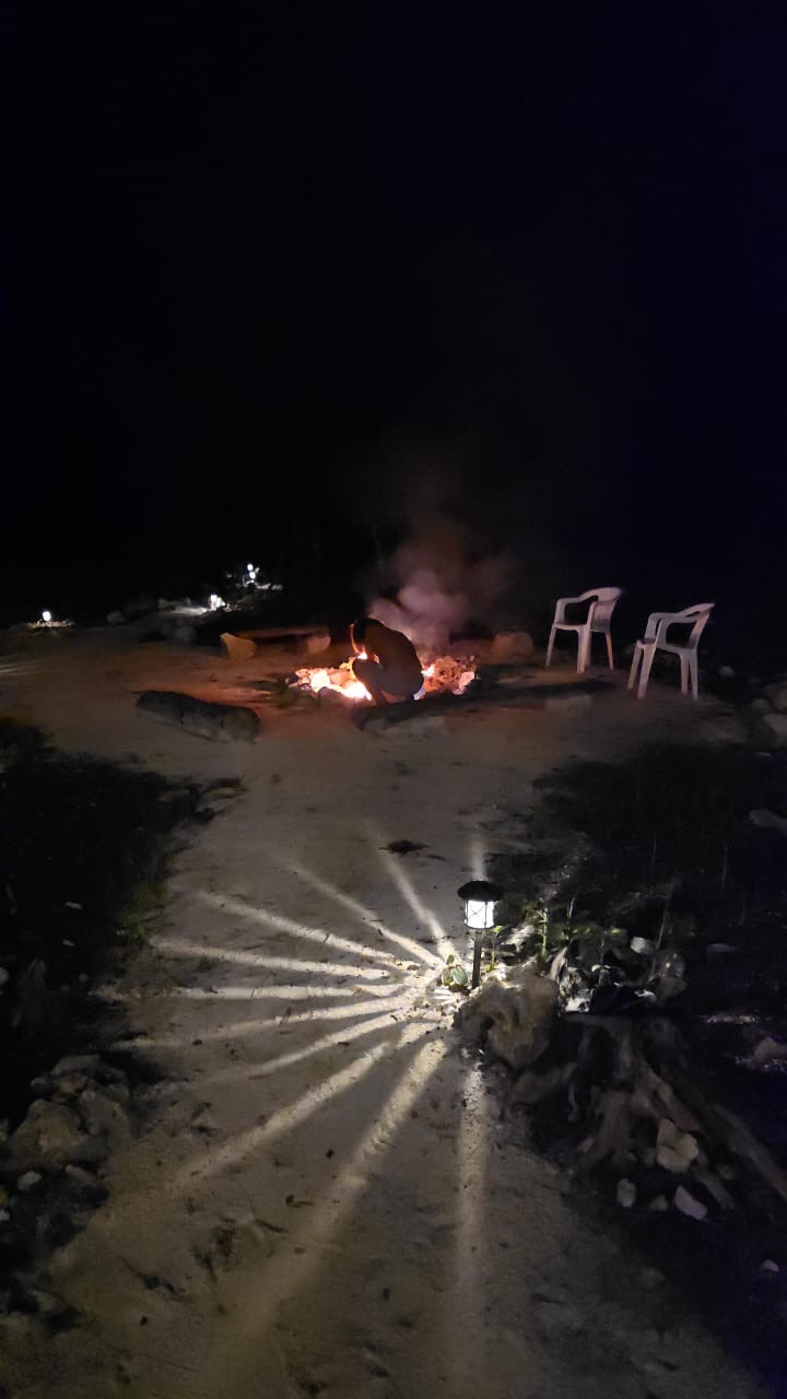 A glowing campfire at night in the jungle.