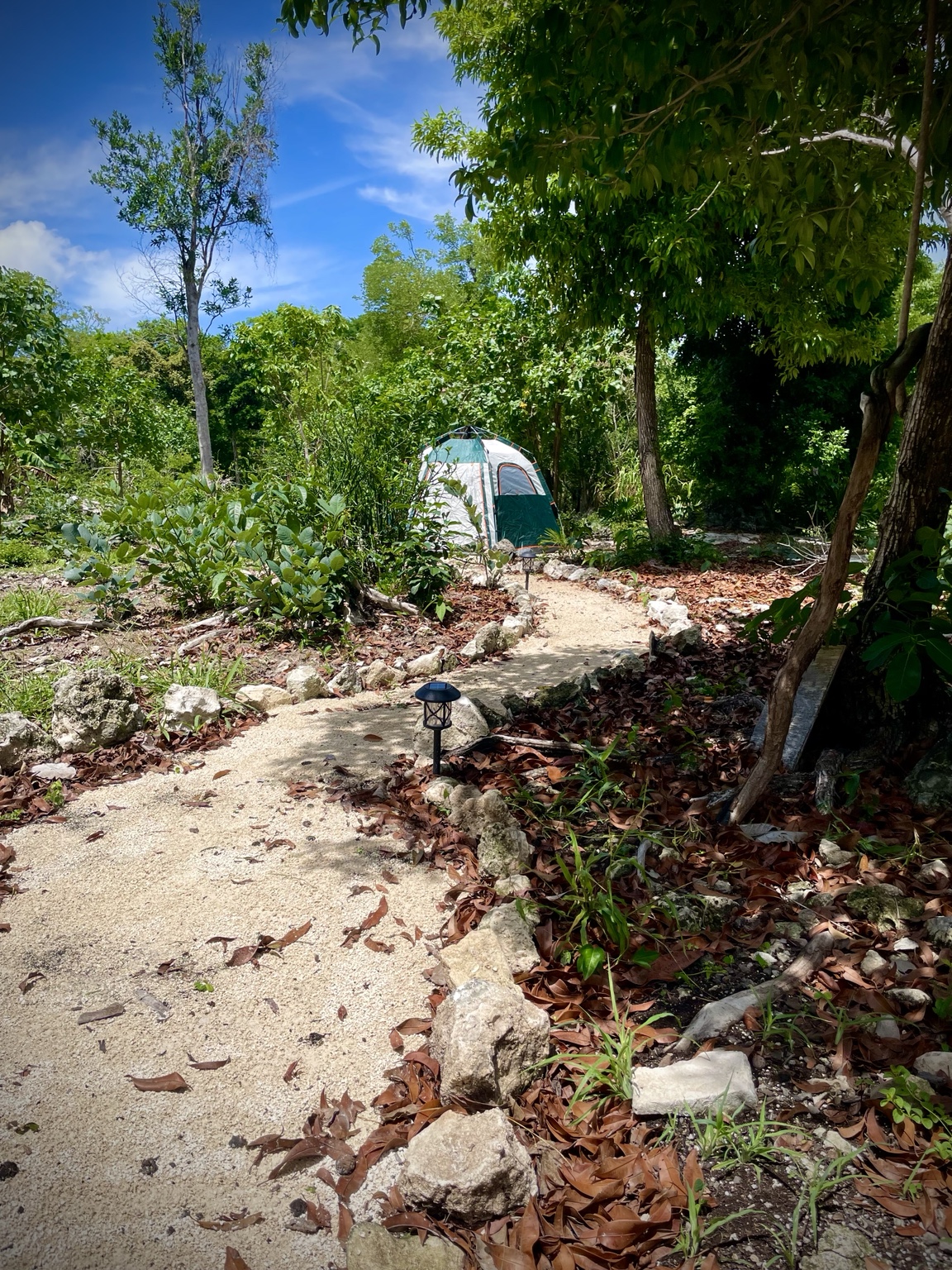 A tent tucked into the jungle beside a winding path at Wild Side Camping.